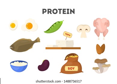 Collection of food full of protein. Cheese and chicken, mushroom and tuna. Healthy organic food. Isolated vector illustration in cartoon style