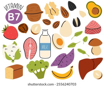 Collection of food sources containing vitamin b7. Biotin. Healthy diet sources.  Salmon, liver, cauliflower, nuts, eggs. Organic nutrition
