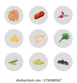 Collection of foods with vitamin Fe. Natural organic products with a high content Vitamin Fe.