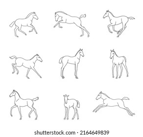 Collection of fools, different phases of movement