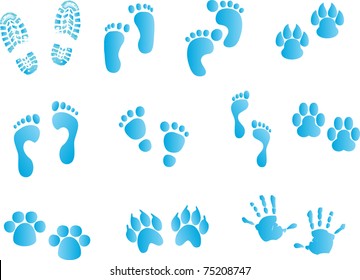 Collection of footprints