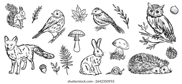 Collection of forest animals and birds in black brush stroke texture isolated on white. Hand drawn vector sketch illustration in vintage charcoal ink. Fox, hedgehog, owl, squirrel, hare. Autumn forest