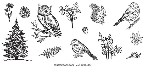 Collection of forest animals and birds in black brush stroke texture isolated on white. Hand drawn vector sketch illustration in vintage charcoal ink. Owl, tit, robin, starling, jay. Autumn forest