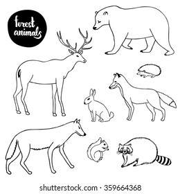 Collection of forest animals: deer, bear, raccoon, fox, wolf, squirrel, hare and hedgehog. Hand drawn illustration. Vector.