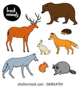 Collection of forest animals: deer, bear, raccoon, fox, wolf, squirrel, hare and hedgehog. Hand drawn illustration. Vector.
