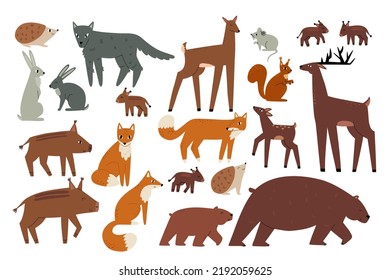 Collection of forest animals drawn in flat style. Bears, deer, wolf, hares. Wild nature