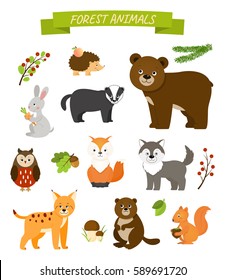 Collection of forest animals. Isioated on white background.Vector illustration