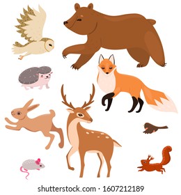 Collection of forest animals isolated on a white background. Vector graphics.