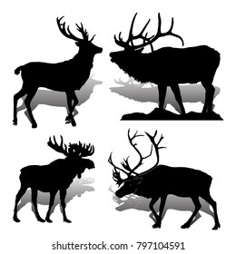 Collection Forest animals (mammals) Deer and moose, on white background, vector