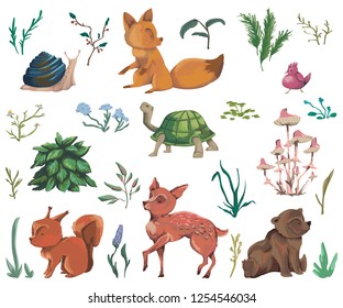 Collection of forest animals, mushroom, plant, flowers, berry, cones. Decorative elements in watercolor style for greeting card, invitation, baby shower party. Cartoon characters. Vector illustration.