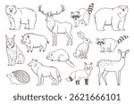 Collection of forest animals in outline style. Set of hand drawn forest animals.