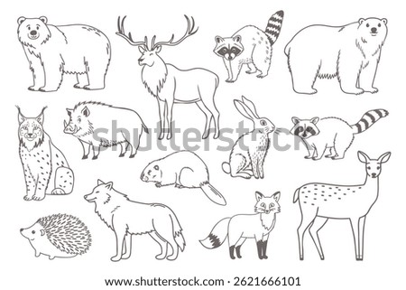 Collection of forest animals in outline style. Set of hand drawn forest animals.