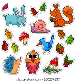 collection of forest animals and plants
