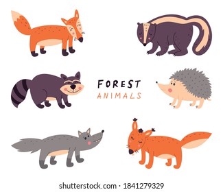 Collection of forest animals. Vector illustration on a white isolated background