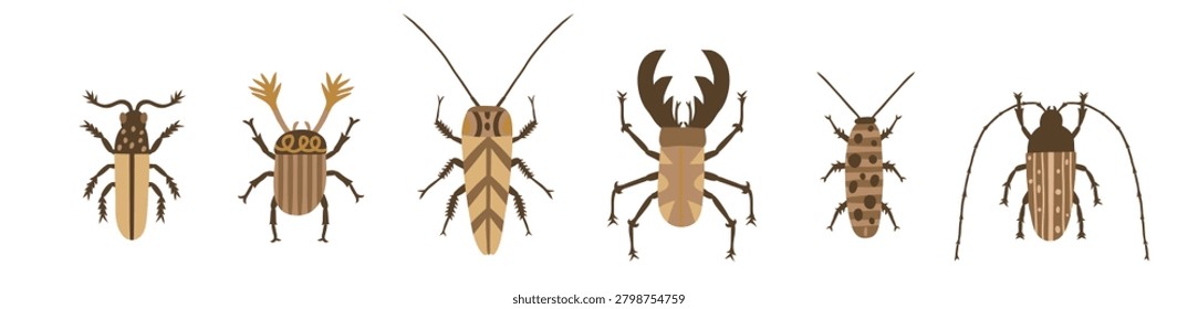 Collection of forest beetles and insects in natural earthy colors. Decorative bug set for educational, botanical and wildlife projects. Isolated flat vector illustration.