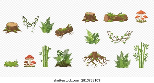 A collection of forest elements including tree stumps, logs, roots, moss, mushrooms, ferns, bamboo, and vines, isolated on a transparent background.