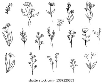 Hand Drawn Flower Set Vector Ink Stock Vector (Royalty Free) 1623474532 ...