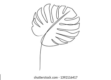 collection forest fern eucalyptus  art foliage natural
leaves herbs in line style. Decorative beauty elegant illustration 
for design Vector