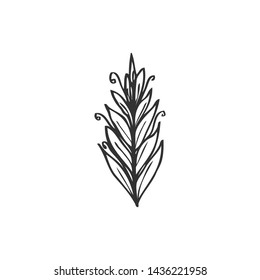 collection forest fern eucalyptus  art foliage natural
leaves herbs in line style. Decorative beauty elegant illustration 
for design Vector flower