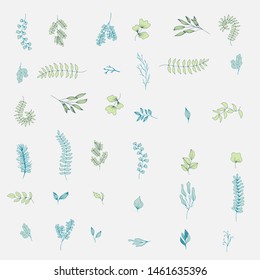 collection forest fern eucalyptus  art foliage natural
leaves herbs in line style. Decorative beauty elegant illustration 
for design Vector flower