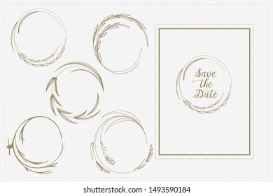 collection forest fern eucalyptus  art foliage natural leaves herbs in line style. Decorative beauty elegant illustration for design Vector flower