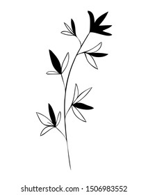 collection forest fern eucalyptus  art foliage natural
leaves herbs in line style. Decorative beauty elegant illustration 
for design Vector flower
