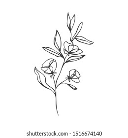 collection forest fern eucalyptus  art foliage natural
leaves herbs in line style. Decorative beauty elegant illustration 
for design Vector flower