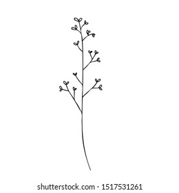collection forest fern eucalyptus art foliage natural leaves herbs in line style. Decorative beauty elegant illustration for design flower