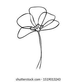 collection forest fern eucalyptus  art foliage natural
leaves herbs in line style. Decorative beauty elegant illustration 
for design Vector flower