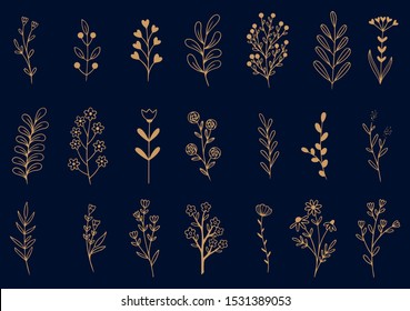 collection forest fern eucalyptus art foliage natural leaves herbs in line style. Decorative beauty elegant illustration for design hand drawn flower