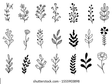 collection forest fern eucalyptus art foliage natural leaves herbs in line style. Decorative beauty elegant illustration for design hand drawn flower