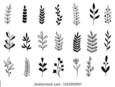 Collection Forest Fern Eucalyptus Art Foliage Natural Leaves Herbs In Line Style. Decorative Beauty Elegant Illustration For Design Hand Drawn Flower