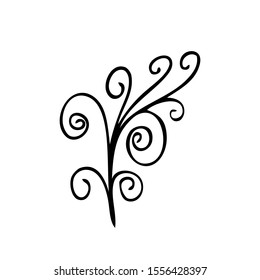 collection forest fern eucalyptus  art foliage natural
leaves herbs in line style. Decorative beauty elegant illustration 
for design Vector flower