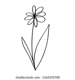 collection forest fern eucalyptus  art foliage natural
leaves herbs in line style. Decorative beauty elegant illustration 
for design Vector flower