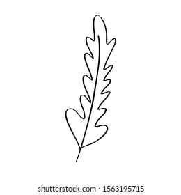 collection forest fern eucalyptus  art foliage natural
leaves herbs in line style. Decorative beauty elegant illustration 
for design Vector flower