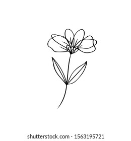 collection forest fern eucalyptus  art foliage natural
leaves herbs in line style. Decorative beauty elegant illustration 
for design Vector flower