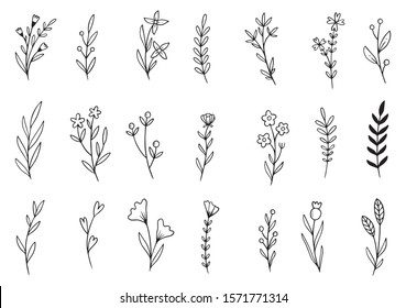 Floral Set Hand Drawn Botanic Elements Stock Vector (Royalty Free ...