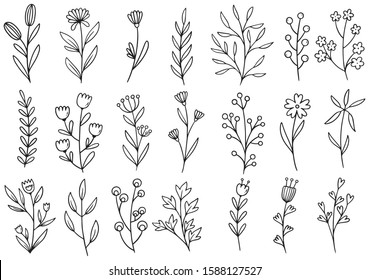 Wild Herbs Collection Hand Drawn Field Stock Vector (Royalty Free ...