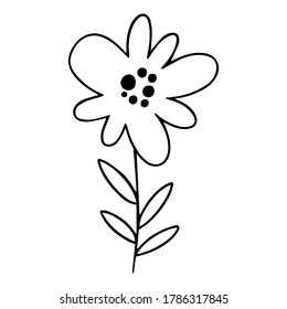 collection forest fern eucalyptus art foliage natural leaves herbs in line style. Decorative beauty elegant illustration for design hand drawn flower