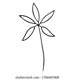 collection forest fern eucalyptus art foliage natural leaves herbs in line style. Decorative beauty elegant illustration for design hand drawn flower