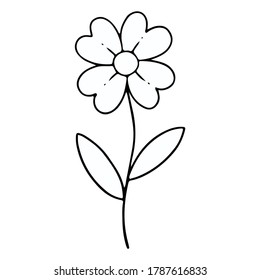 collection forest fern eucalyptus art foliage natural leaves herbs in line style. Decorative beauty elegant illustration for design hand drawn flower