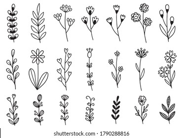 Wild Herbs Collection Hand Drawn Field Stock Vector (Royalty Free ...