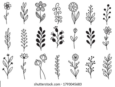 Floral Seamless Pattern Hand Drawn Herbs Stock Vector (Royalty Free ...