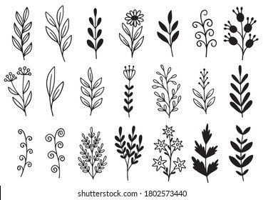 collection forest fern eucalyptus art foliage natural leaves herbs in line style. Decorative beauty elegant illustration for design hand drawn flower