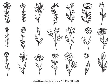 Wild Herbs Collection Hand Drawn Field Stock Vector (Royalty Free ...