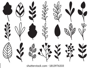 collection forest fern eucalyptus art foliage natural leaves herbs in line style. Decorative beauty elegant illustration for design hand drawn flower