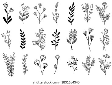 Floral Set Hand Drawn Botanic Elements Stock Vector (Royalty Free ...