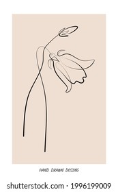 collection forest fern eucalyptus art foliage natural leaves herbs in line style. Decorative beauty elegant illustration for design flower summer