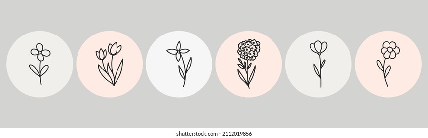 collection forest fern eucalyptus  art foliage natural
leaves herbs in line style. Decorative beauty elegant illustration 
for design Vector flower Botanical