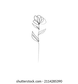 collection forest fern eucalyptus art foliage natural
leaves herbs in line style. Decorative beauty, elegant illustration 
for design: Vector flower Botanical